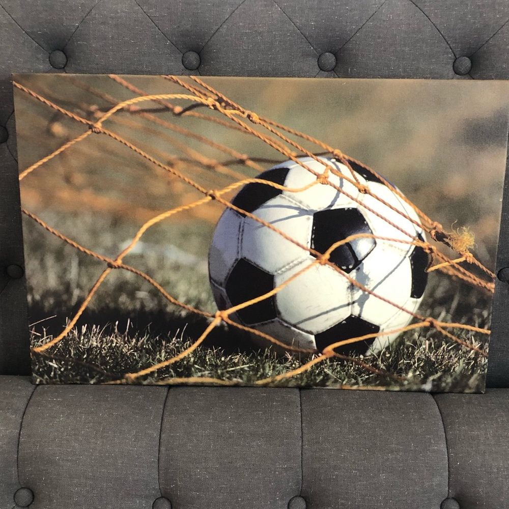 Net + Soccer Ball Picture Art